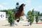 Saut d'obstacle
