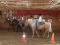 Offrez l'équitation en cadeau !