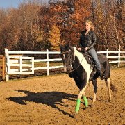 Offrez l'équitation en cadeau !
