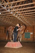 Offrez l'équitation en cadeau !