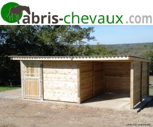 Ensemble boxe 3mx3m + abri 3mx3m en Pin sylvestre Autoclavé classe 4