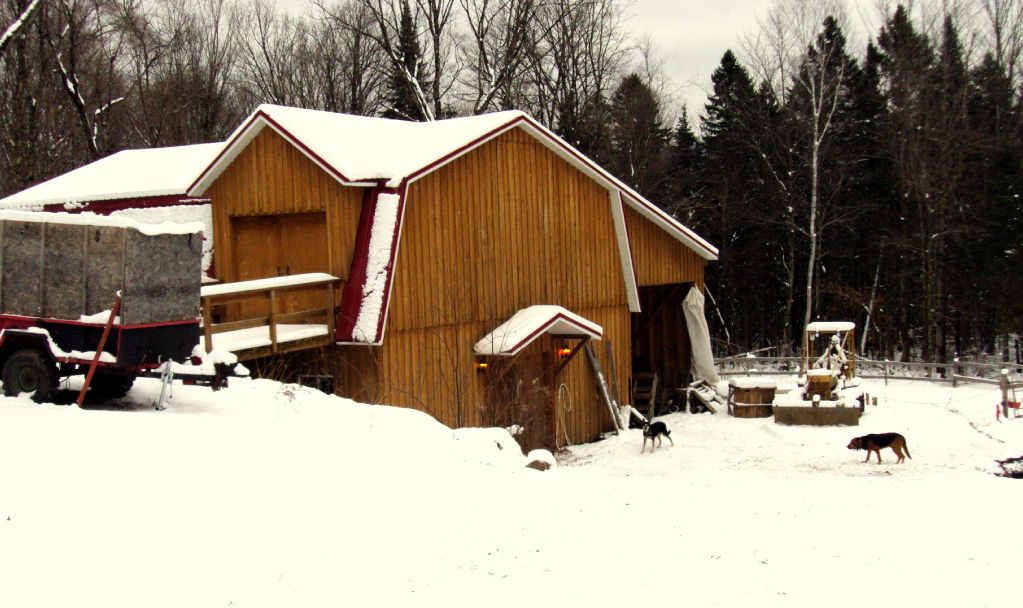 Pension chevaux Stoneham