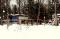 Pension chevaux Stoneham