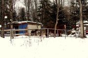 Pension chevaux Stoneham