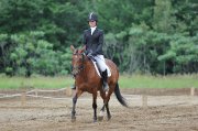 Demie-pension jument quater horse