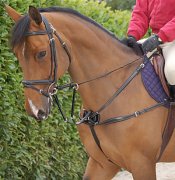 collier de chasse/bricole