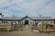 Cours d'équitation classique 