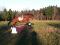 cheval Thorougbred/clyde 17.1 mains, 8ans.