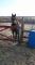 Belle jument QH !!!
