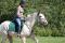 Cheval très polyvalent 