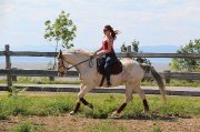 Cheval très polyvalent 