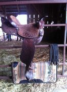 Selle western ''The american'' 15.5' 140$