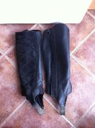 half chaps ariat