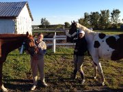 Hunter Pacer,Sauteur et Trec - Un gagnant!