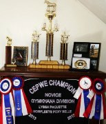 ACEC Ranch Gagnon Sauvetage 2014