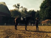 Cours de dressage en légèreté - Rive Sud Mtl