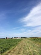 Pension pour chevaux - Sainte-Anne-des-Plaines