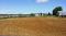 Manège exterieur 100x200