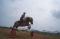 Super jument haflinger 15 mains 1