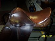 selle classic a vendre