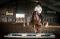 Belle Jument paint horse enrg.