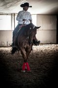 Belle Jument paint horse enrg.