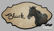 Plaques de box - modele #2
