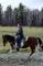 Cheval de saut 3 ans Paint 3 couleurs