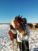 palfreniere disponible dans Lanaudière 