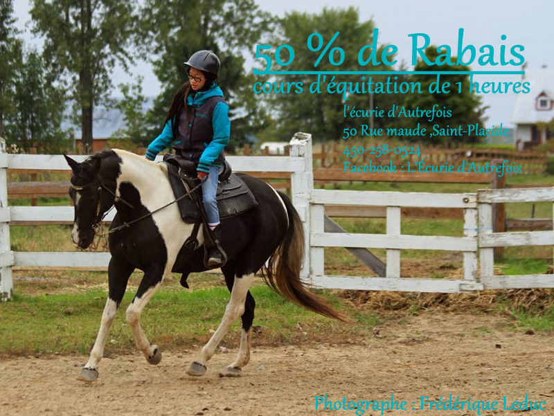 Cour d'équitation 50 % pour le mois de Février