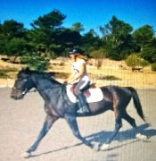  cavalière du 83 cherche demi pension
