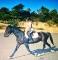  cavalière du 83 cherche demi pension