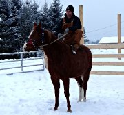 Easy Barrel Baby - jument qh 4 ans 