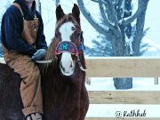 Easy Barrel Baby - jument qh 4 ans 