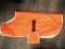Accessoires pour chien