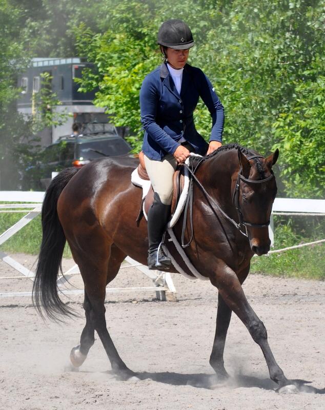Jument Chasseur & Équitation