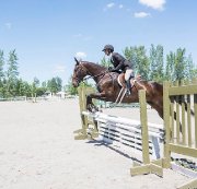 Jument Chasseur & Équitation 