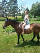 Jument hanovrienne à vendre ou échanger !! 2000$...