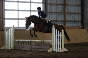 demi-pension ou quart de pension pour mon cheval! 
