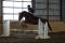demi-pension ou quart de pension pour mon cheval! 