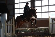 demi-pension ou quart de pension pour mon cheval! 