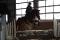demi-pension ou quart de pension pour mon cheval! 