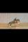 WARMBLOOD 16M3 A VENDRE * VENDU *