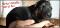 chiots Berger Allemand