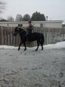 1/2 cheval