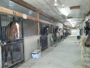 Pension chevaux Rive-sud Montréal