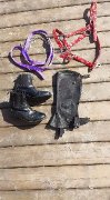 Licou , laisse , bottes et chaps à vendre !