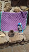 Equipement: Veston, bottes, gants, étrivière, bride etc