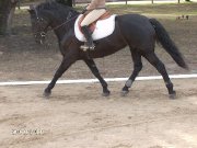 cavalière offre ses services