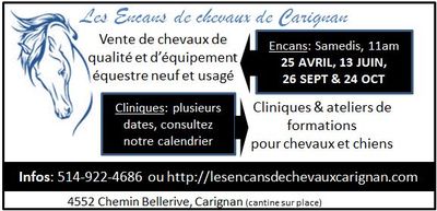 Chevaux à vendre ou à acheter???
